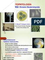 Fitopatología. Reino Fungi. División Deuteromycota