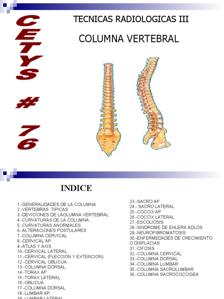 Curvaturas y Anatomía de la Columna Vertebral | PDF | Vértebra | La ...