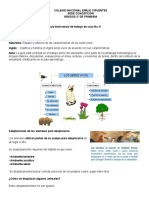 Guía Transversal de Trabajo en Casa Grado 2 No. 5