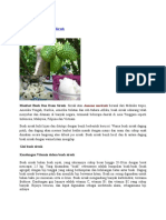 Download Manfaat Buah Dan Daun Sirsak by Drs Saleh SN52719813 doc pdf
