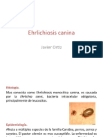 Ehrlichiosis Canina