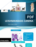 Leishmaniasis Canina