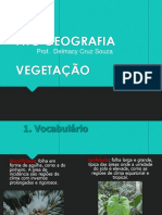 Vegetação brasileira em
