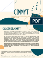 Cimmyt Info