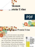 Pemeriksaan Protein Urine