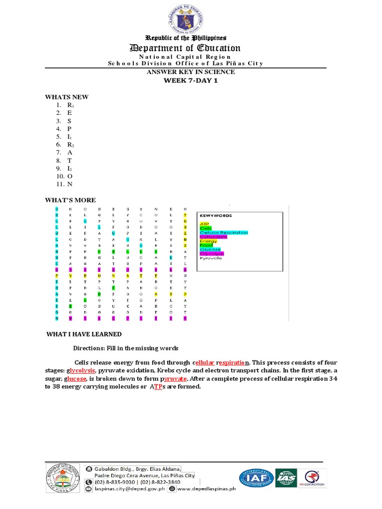 Science Answer Key: Cellular Respiration | PDF | Cellular Respiration ...