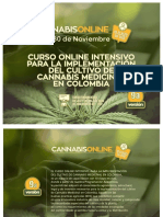 01 Cultivo Cannabis 17 Nov