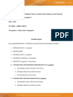 Plan de Prevención y Control de Patologías de Origen Laboral