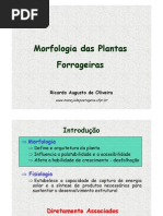 morfologia