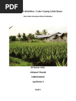 Paper Komoditas Lidah Buaya Pdf