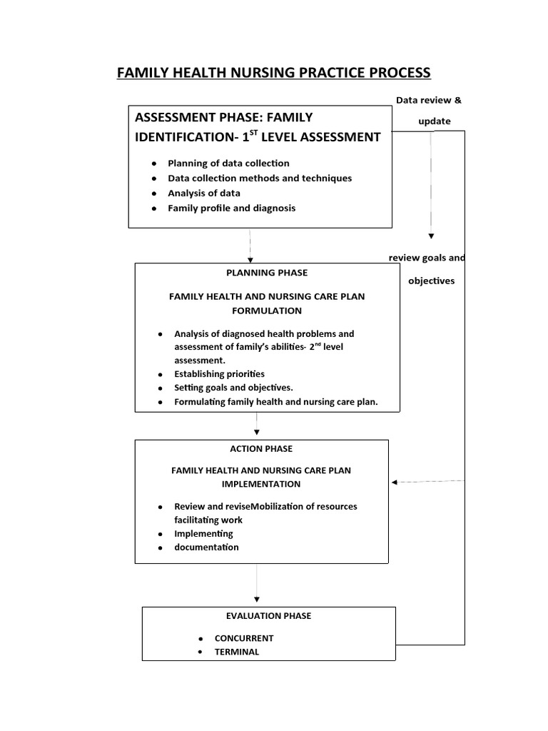 Family Health Nursing Schematic | PDF