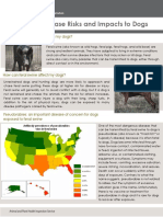 Feral Swine Disease Risks and Impacts To Dogs