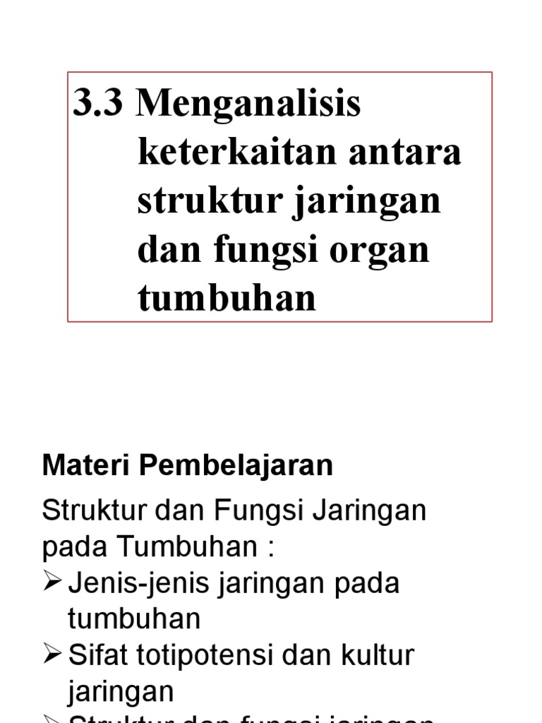 Jaringan penyimpan udara atau aerenkim pada tumbuhan banyak ditemukan pada jaringan