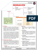 Sesión #2 Procesos Cognitivos - La Sensación - 4° Sec