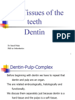 Dentin Oral Histology and Physiology