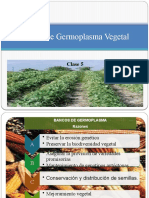 Bancos de Germoplasma Vegetal