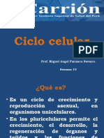 CICLO CELULAR - II