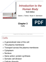 Intr Uction To The Human Body: Cells