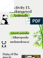 Scientific thought on endangered giant pandas