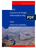 Iraq Internal Mobility
