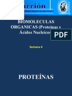 Semana 4 y 5. Proteinas y Acidos Nucleicos