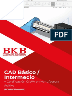 Brochure Cad Básico Intermedio Más Certificación CSWA