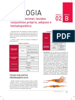 Tecidos conjuntivos: propriamente dito, adiposo e hematopoiético