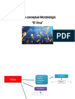 Mapa Conceptual Microbiología