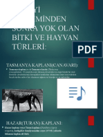 Sanayi̇ Devri̇mi̇nden Sonra Yok Olan Bi̇tki̇ Ve Hayvan