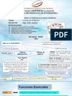 Bases Conceptuales de La Salud Pública