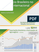 Agronegócio Brasileiro No Mercado Internacional