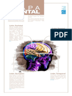 Atividade - 03 - MAPA MENTAL - Neurociência