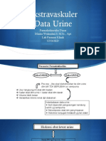 P4-P5 EV Komp Data Urin