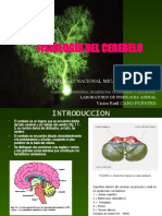 Fisiologia Del Cerebelo