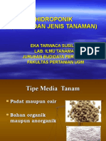 Media Dan Jenis Tanaman Hidroponik