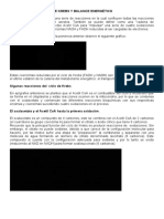 Material 2 Reacciones Del Ciclo de Krebs y Balance Energético