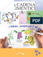 La Cadena Alimenticia - DUA