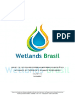 Boletim Wetlands Brasil - No 6 - Maio de 2017