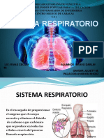 Presentacion Sistema Respiratorio 6a1