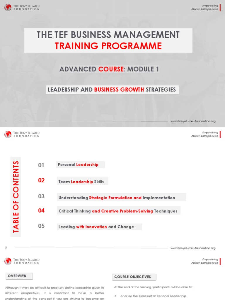 Advanced Leadership for Entrepreneurs | PDF | Strategic Management ...