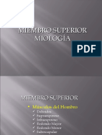 Expo Anatomia Miembros Miologia 1213321719674969 8 (PPTshare