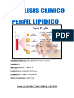 Perfil Lipidico