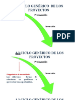 Ciclo Genérico de Los Proyectos