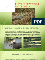 Cria de Reptiles Silvestres en Colombia 2.0