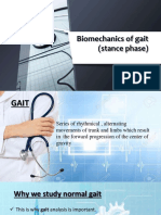 Biomechanics of Gait - Stance Phase