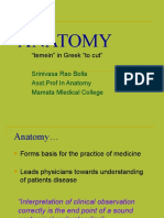 Anatomy: "Temein" in Greek "To Cut"