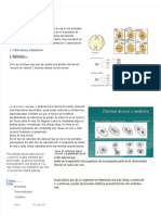 PDF Amitosis (1)