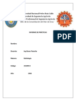 Informe-