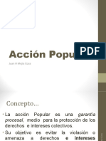 Acción Popular