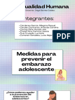 Medidas para Prevenir El Embarazo Adolescente - Grupo 3